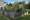 Photo jardin potager